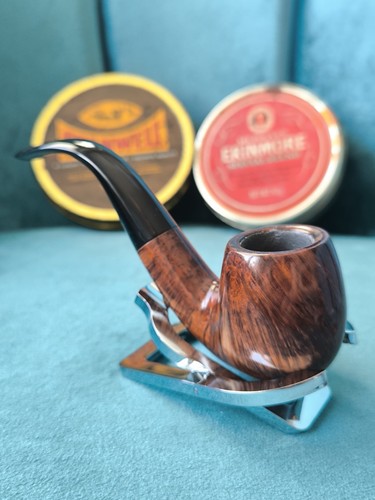 Bari squash 9441 - estate, pfeife